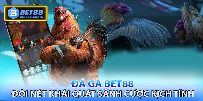 Đá gà Bet88 - Đôi nét khái quát sảnh cược kịch tính