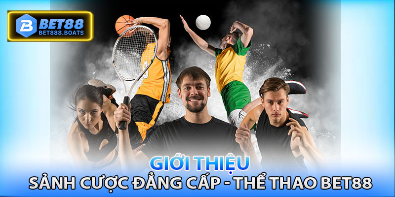 Giới thiệu sảnh cược đẳng cấp - Thể thao Bet88c